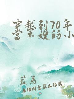 穿越到70年代当军嫂的小说