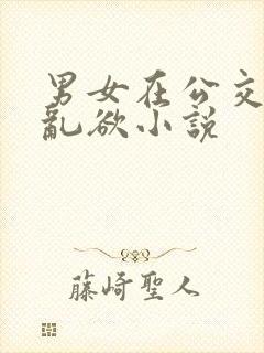 男女在公交车上乱欲小说