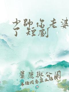 少帅你老婆又跑了 短剧
