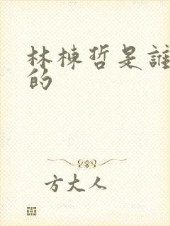 林栋哲是谁扮演的