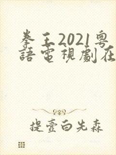 拳王2021粤语电视剧在线观看免费