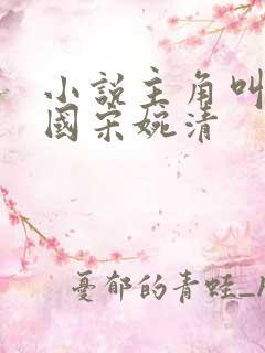 小说主角叫赵振国宋婉清