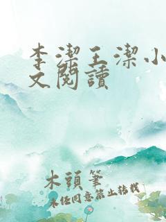 李洁王洁小说全文阅读