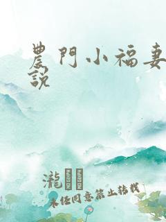 农门小福妻 小说