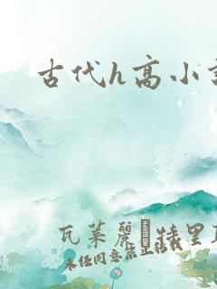 古代h高小说