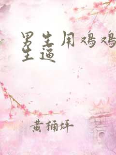 男生用鸡鸡捅女生逼