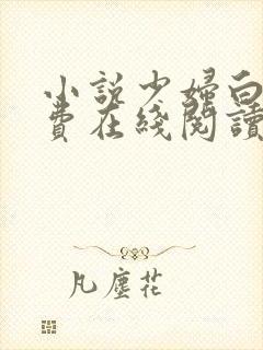 小说少妇白洁免费在线阅读