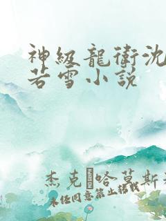 神级龙卫沈浪苏若雪小说