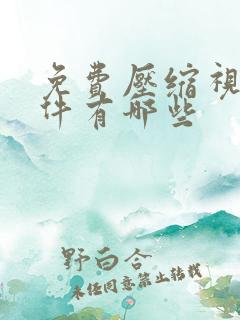 免费压缩视频软件有哪些