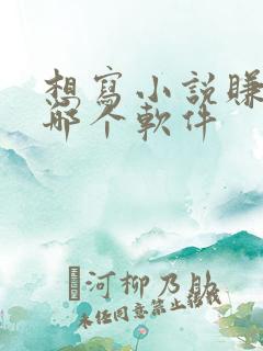 想写小说赚钱去哪个软件