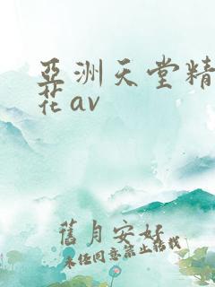 亚洲天堂精品探花av