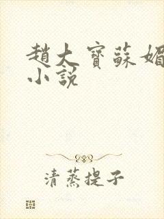 赵大宝苏媚赵勇小说