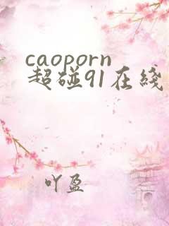 caoporn超碰91在线