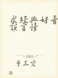 求经典好看的小说言情