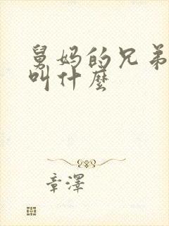 舅妈的兄弟我该叫什么