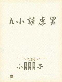 h小说虐男