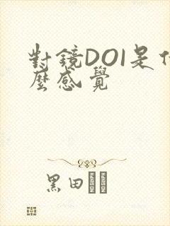 对镜DOI是什么感觉