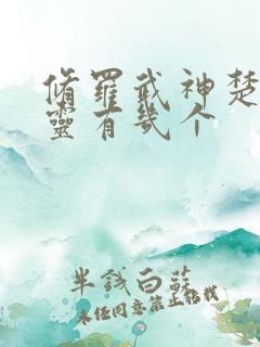 修罗武神楚枫界灵有几个