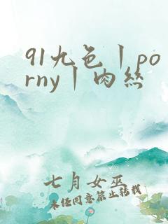 91九色丨porny丨肉丝