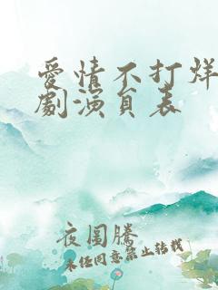 爱情不打烊电视剧演员表