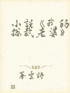 小说《我的冷艳总裁老婆》