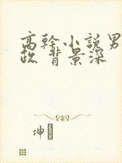 高干小说男主从政 背景深