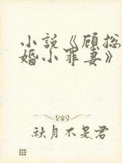 小说《顾总的隐婚小罪妻》