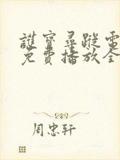 护宝寻踪电视剧免费播放全集完整版高清