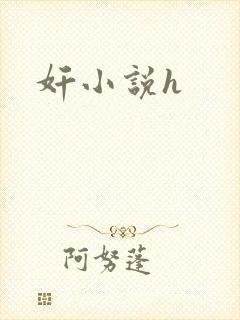 奸小说h