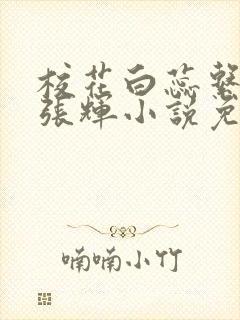 校花白蕊系主任张辉小说免费阅读