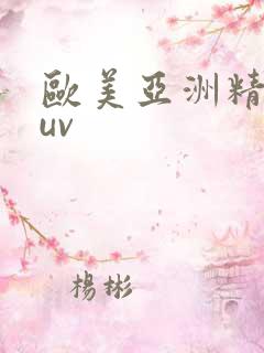 欧美亚洲精品suv
