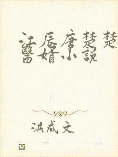 江辰唐楚楚龙王医婿小说