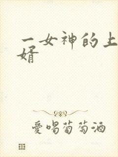 一女神的上门贵婿