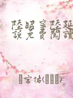 陆昭宁陆延骁小说免费阅读最新章节