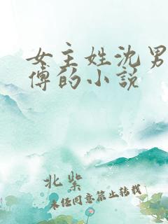 女主姓沈男主姓傅的小说