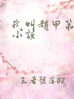 我叫赵甲第原著小说