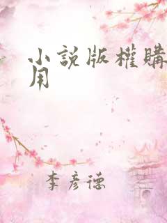 小说版权购买费用