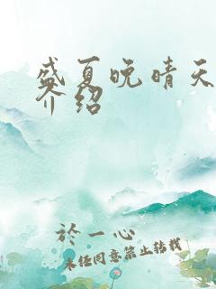 盛夏晚晴天剧情介绍
