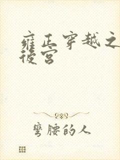雍正穿越之极品后宫