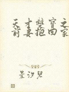天才双宝之傲娇前妻抱回家