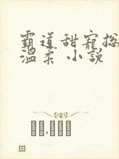 霸道甜宠总裁请温柔 小说