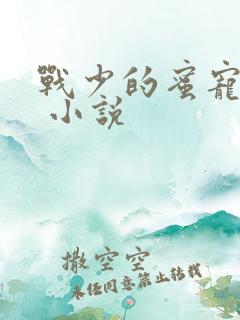战少的蜜宠娇妻 小说