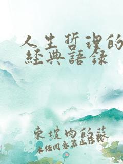 人生哲理的句子 经典语录
