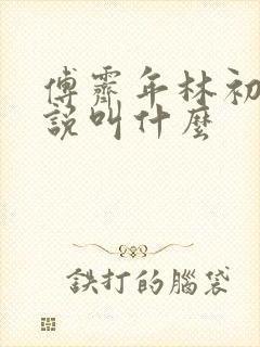 傅霁年林初筱小说叫什么