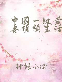 中国一级黄色夫妻视频生活片