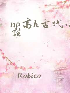 np高h古代小说