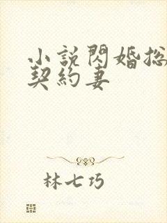 小说闪婚总裁的契约妻 小说闪婚总裁的契约妻
