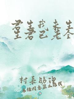 君生我未生,我生君已老全诗