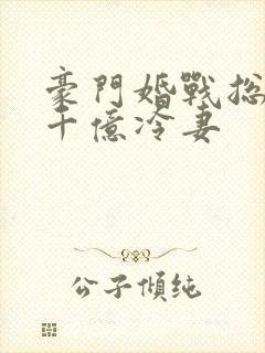 豪门婚战总裁的千亿冷妻