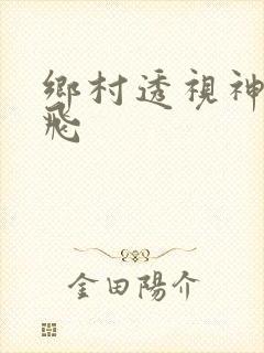 乡村透视神医林飞